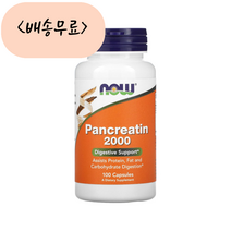 [늘품] 나우푸드 Pancreatin 판크레아틴 2000 100개입, 1개, 100개