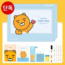 카카오프렌즈 문구세트 학용품세트 생일 선물 단체 카카오 캐릭터 알찬구성 실속세트, 실속세트 라이언
