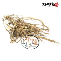 국산 한속단 차 속단뿌리 300g 속단