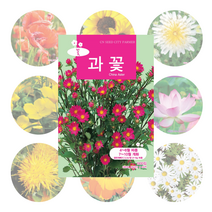 꽃씨앗 52종, 공작초 300립(중포장)