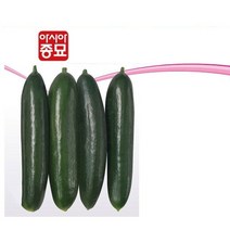 오이씨앗 아시아미인 10립 오이종자, 3개
