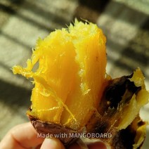 [해남농장]달달 해남 꿀고구마 대용량 10kg, 햇 긴특상 10kg