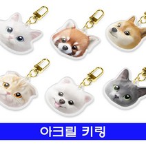 [유앤아이쇼핑] sugarcat멍냥이 아크릴 키링 1181EA
