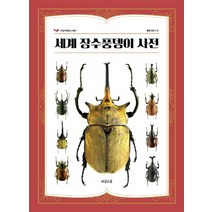 세계 장수풍뎅이 사전, 비글스쿨