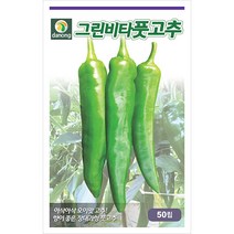 흰민들레 100립 - 씨 씨앗 민들레 흰민들레씨앗 흰민들레씨앗 약용씨앗 채소씨 채소씨앗 약용씨 민들레씨앗, 11_다농_그린비타 풋고추(50립)