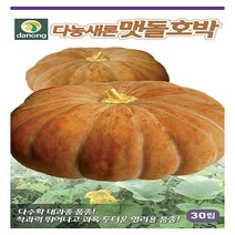 다농원예가든 새론맷돌호박30립