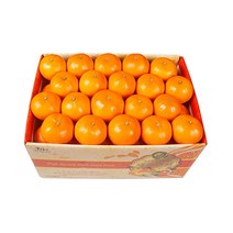 농장직송 고당도 천혜향 3kg 5kg 10kg, 1박스, 천혜향 5kg 소과(31~45과)