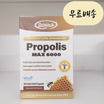 오리진에이 프로폴리스 시그니처 MAX 6000mg 365개입 [미국 직배송], 1개