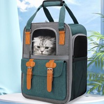 생활방수 동물병원 백팩형 강아지이동장 반려견 반려견병원 이동케이지, 그린