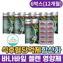 캐나다산 바나바리프 혈당 억제 항산화 셀렌 영양제 50대 60대 70대 혈당엔 바나바잎추출물 당케어 바나바잎영양제 혈당영양제 크로솔산 혈당낮추는음식 바나바추출물 식후2시간혈당