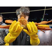 이바다수산 속초 홍게 박달 자숙 대게 3kg, 자숙 고급형 3kg (7~10미), 1개
