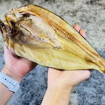 반건조 손질 왕특대 임연수 1미 350g 30cm내외 3미 1kg
