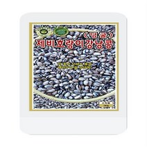 제비호랑이강낭콩씨 30g 콩씨 씨앗 대장 KS종묘