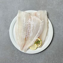 은하수산 제주산 대광어 필렛 550g, 1개