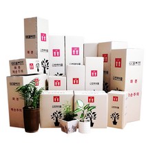 박스365 튼튼한 꽃 생화 화훼 나무 화분 화초 식물 택배박스 29종 모음, 10개입, 연갈색 박스 A623 10장(230*230*900)