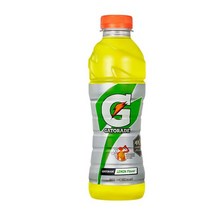 칠성 갈증해소 아미노산 게토레이 레몬 페트 스포츠음료 이온음료 600ML 20개, 2세트