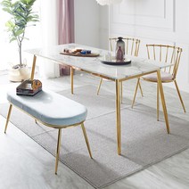 티에스퍼니처 골드 식탁 테이블 골드체어 인테리어 식탁/입식테이블, 08.마카롱 골드 체어 2ea/퍼플/핑크