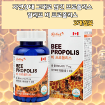 비프로폴리스 약국 겨울 추위 겨울철 면역력 항산화 항상화 향산화 활성 유해 산소 구강 항균 플라보노이드 플라노보이드 폴라폴리스 푸로폴리스 플로폴리스