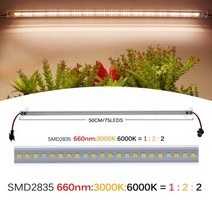 식물조명등 식물등 220v led 빛을 성장 sunlike 전체 스펙트럼 phyto 램프 75leds 실내 성장 램프 꽃 성장 텐트 led 바, 햇빛, 1개 세트, 협력사