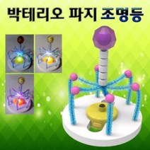 박테리오 파지 조명등 만들기 (5인용)