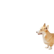 소파계단 발판 계단 댕댕이 논슬립 오르막 고양이, 애완 사다리, D