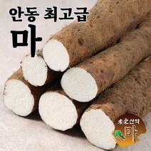 안동 최고급 장마 산마 햇마 2kg 5kg 산지직송 국내산 참마 생마, 5kg 장마 중품, 1개