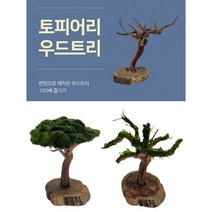 토피어리 우드트리 랜덤 1개 / 활착수초 음성수초 은신처 초보자, 우드트리+모스볼활착