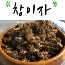 국산 창이자 300g 도꼬마리 말린 창이자