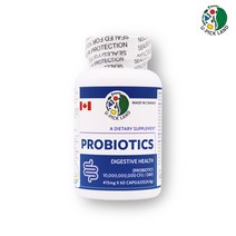 프로바이오틱스 프리바이오틱스 프락토올리고당 가세리 람노서스 루테리 플란타룸 모유유산균 김치유산균 비피더스균 식약처 건강기능식품 캐나다, 1