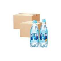 빅토리아 탄산수 플레인 에너지 500ml x 40개입, 빅토리아 탄산수 플레인+에너지