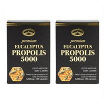 Natures Top PREMIUM EUCALYPTUS PROPOLIS 5000 네이쳐스탑 프리미엄 유칼립투스 프로폴리스 120캡슐 2팩