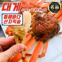 동해안 준 박달대게 5미 소짜 9-9.4cm (자숙) (1.6-1.8KG), 준박달대게5미소짜9-9.4cm(자숙)1.6-1.8kg
