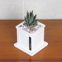 행복레시피 다육식물월동자 웨인스코팅사각화분SET(2colors), 01-화이트