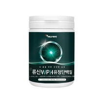 류신 WPH 유청 단백질 L-Leucine 더블유피에이치 protein 프로틴 엘로이신 유청단백가수분해물 완두 단백 분말 유청농축 단백분말 가루 파우더 운동 전후, 2개, 280 g
