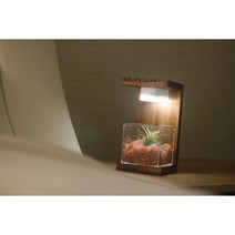 식물 무드등 여자친구선물 집들이선물 센스있는선물 인테리어무드등 특별한선물, 레드