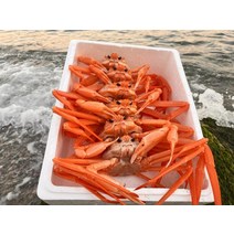 오늘조업오늘배송 수율80% 구룡포 연지홍게, A급 꽉찬 홍게 수율80%:2kg(5-7