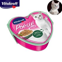 휴대용 고양이 주식캔 유동식 캣밥 캔사료