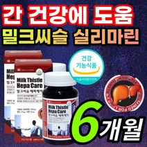 대용량 캐나다 수입 고함량 밀크씨슬 밀크시슬 밀크시스 밀크티슬 밀크티술 추출물 실리마린 실리마리 피곤한 지친 지치는 직장인 부모님 간 건강 기능 도움 영양제 + 알 약 케이스증정, 1개, 6개월 / 2통