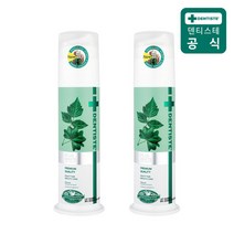 덴티스테 플러스화이트 펌프형 치약, 170g, 2개