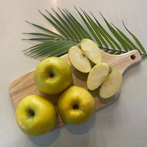 시나노골드 사과 설날 선물세트, 5kg 중소과 (19~21과), 일반용(3~5kg)