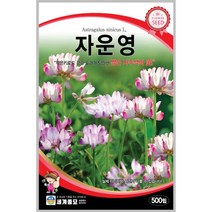 자운영 500립 꽃씨 이년생 씨앗 몰 봄 여름 가을 야생화 세계종묘 농사마트