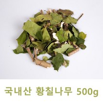 국산 황칠나무 건강 차 잎 500g 남성 여성 전통 찻잎 하루 한잔 커피 대용품, 1봉