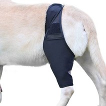 강아지 탈구 고양이 깁스 보호 기부스 반려동물개무릎 보호대 등 다리 지원 교정기 슬리브 유, 04 XL