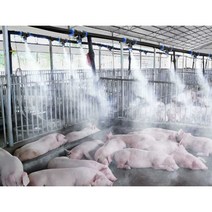 미세 고압노즐 무인 방제기 하우스과일 압축 분사기, 30미터 튜브 +  스프레이 패키지 30세트