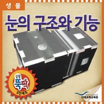실험뚝딱 눈의 구조와 기능(카메라원리) 5인세트 RMR