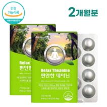 스트레스 긴장완화 편안한 테아닌 츄어블정 30정 1개월분 감마오리자놀 relax theanine, 2개