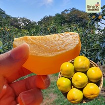 프리미엄 태추단감 배단감 부유단감, 1박스, 5kg (대:18~20과)