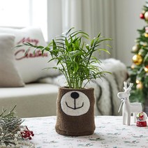 [모던하우스] 울 곰 화분커버