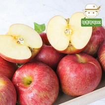 영동 사과선물세트 5kg(14-16과), 단품