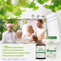 중년 노년 어르신 기억력 집중력 뇌 두뇌 머리 기능 혈행 혈관 건강 회복 관리 개선 에 좋은 은행잎 징코 오메가3 복합 보조 영양제, 1BOX(3개월분)